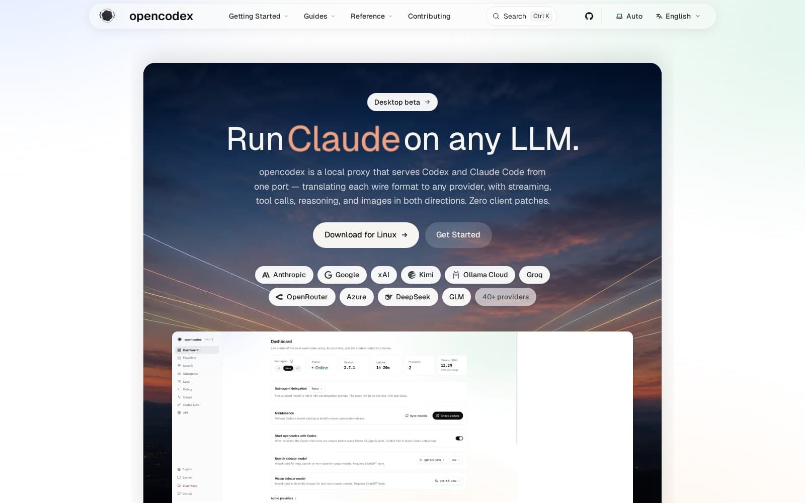 OpenCodex website